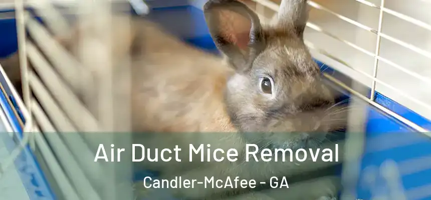  Air Duct Mice Removal Candler-McAfee - GA