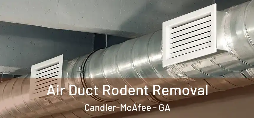  Air Duct Rodent Removal Candler-McAfee - GA