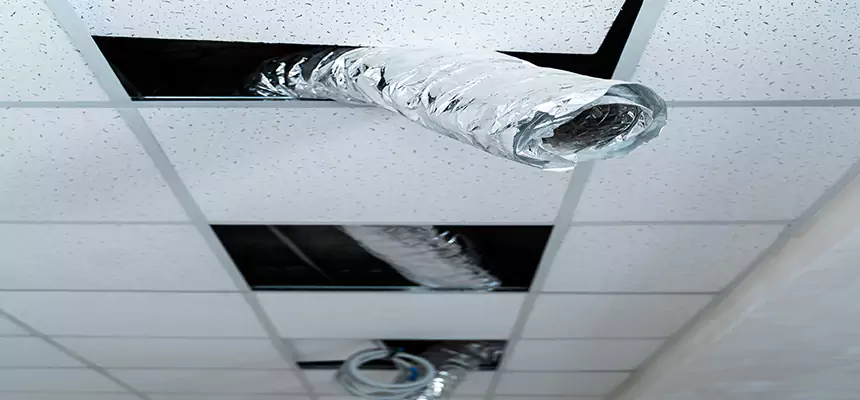 Our Air Duct Pet Hair Removal Services in Candler-McAfee, GA