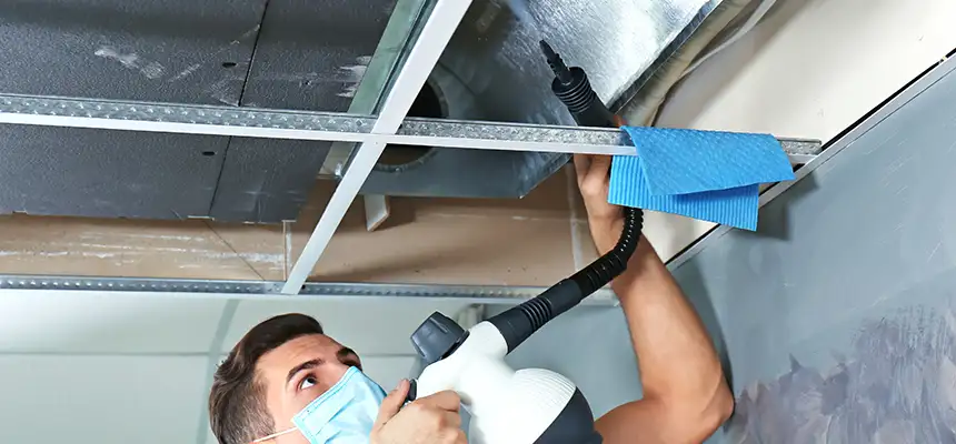 Our Air Duct Rodent Removal Services in Candler-McAfee, GA