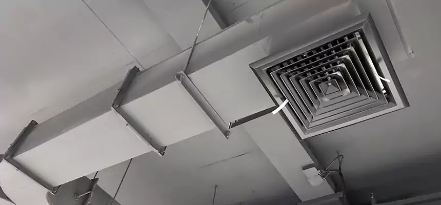 Restorative Allergy Relief Vent Cleaning – Coil, Blower & Housing Detail in Candler-McAfee