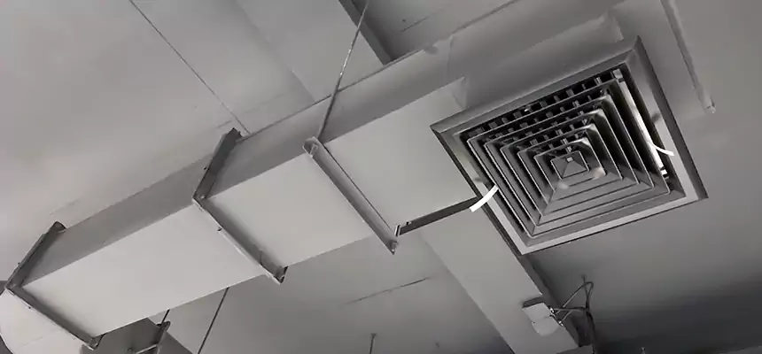 Our Pest Removal From Ducts Services in Candler-McAfee, GA