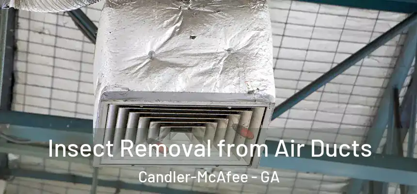  Insect Removal from Air Ducts Candler-McAfee - GA