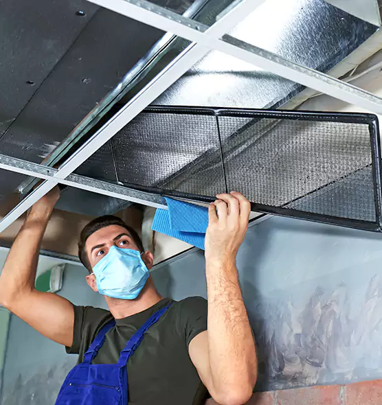 Professional Air Duct Pollen Cleaning in Candler-McAfee, GA