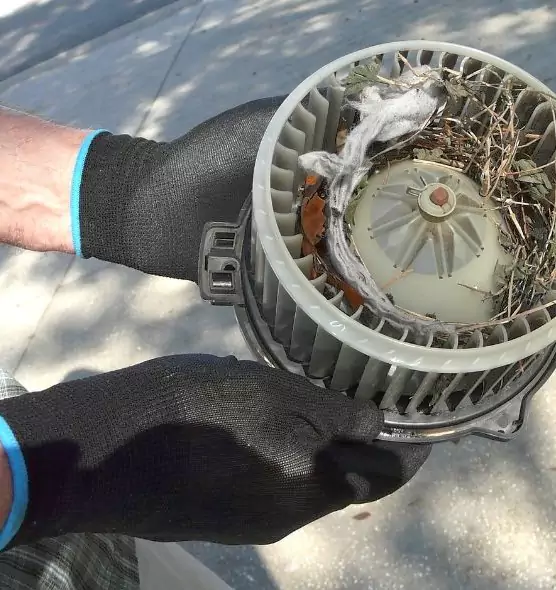 About Air Duct Rat Removal in Candler-McAfee, GA