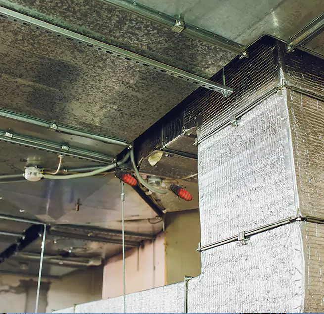 Why Homeowners & Businesses Trust Us in Candler-McAfee, GA?