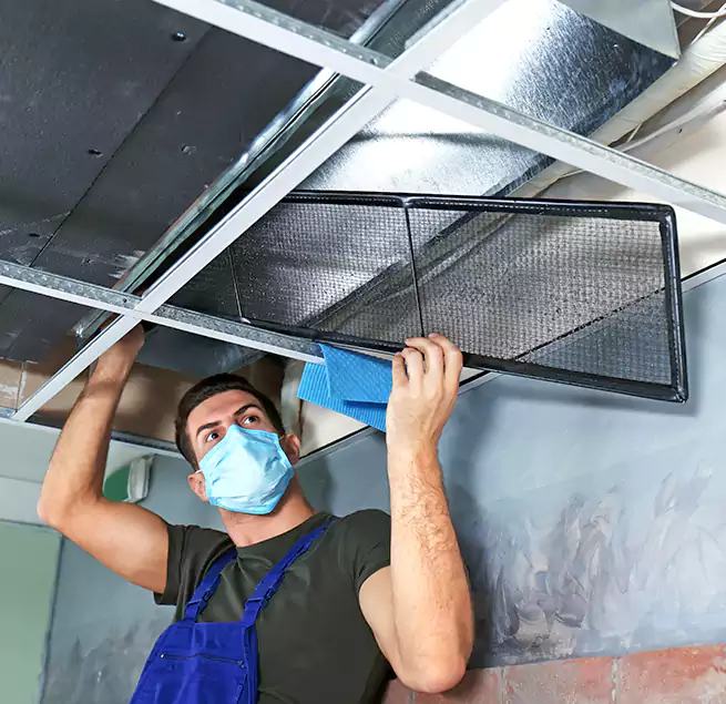 Why Homeowners Businesses Trust Us in Candler-McAfee, GA