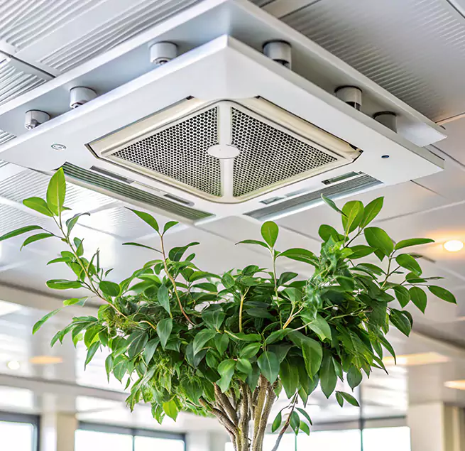 Why Homeowners & Businesses Trust Us in Candler-McAfee, GA