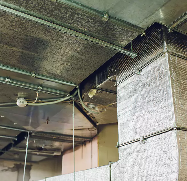 Why Homeowners & Businesses Trust Us in Candler-McAfee, GA?